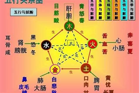 属木的人适合什么行业|五行属木人的特点 木命人干什么容易发财